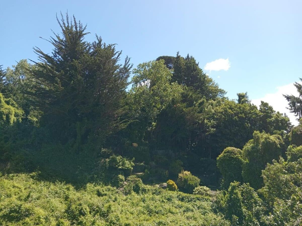 Hom I Amplio Depto De 2 Frente Al Lago Y Parking Puerto Varas