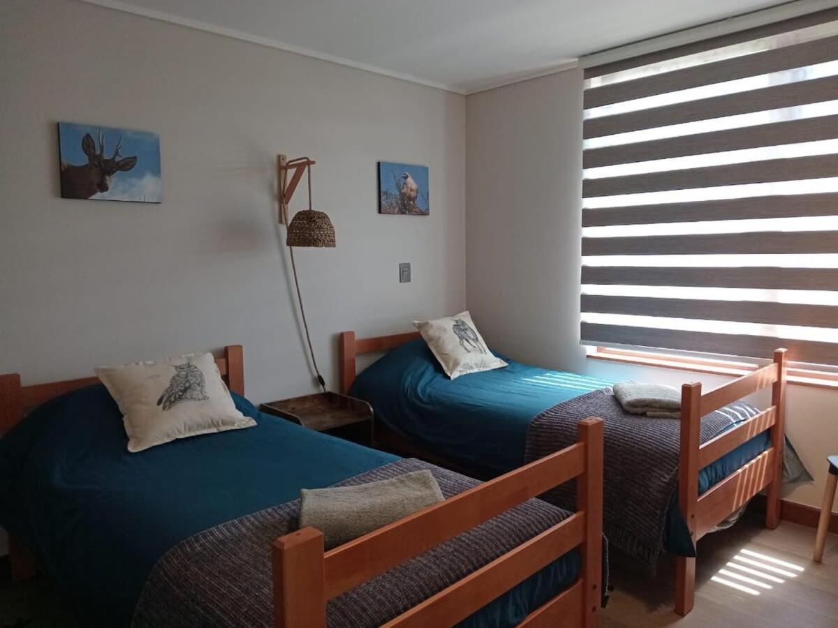Hom I Amplio Depto De 2 Frente Al Lago Y Parking Puerto Varas